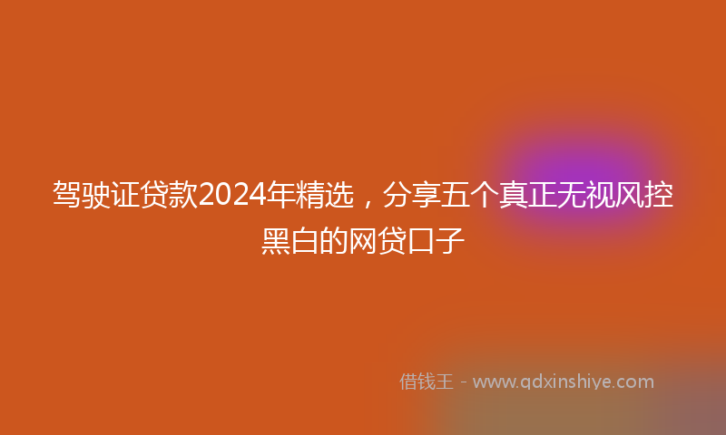 驾驶证贷款2024年精选，分享五个真正无视风控黑白的网贷口子