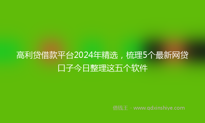 高利贷借款平台2024年精选，梳理5个最新网贷口子今日整理这五个软件