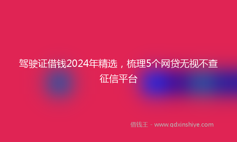 驾驶证借钱2024年精选，梳理5个网贷无视不查征信平台