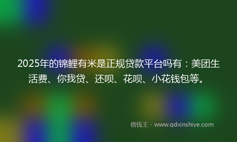 2025年的锦鲤有米是正规贷款平台吗有：美团生活费、你我贷、还呗、花呗、小花钱包等。
