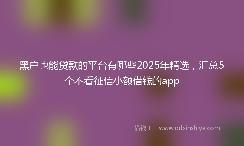 黑户也能贷款的平台有哪些2025年精选，汇总5个不看征信小额借钱的app