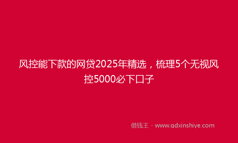 风控能下款的网贷2025年精选，梳理5个无视风控5000必下口子