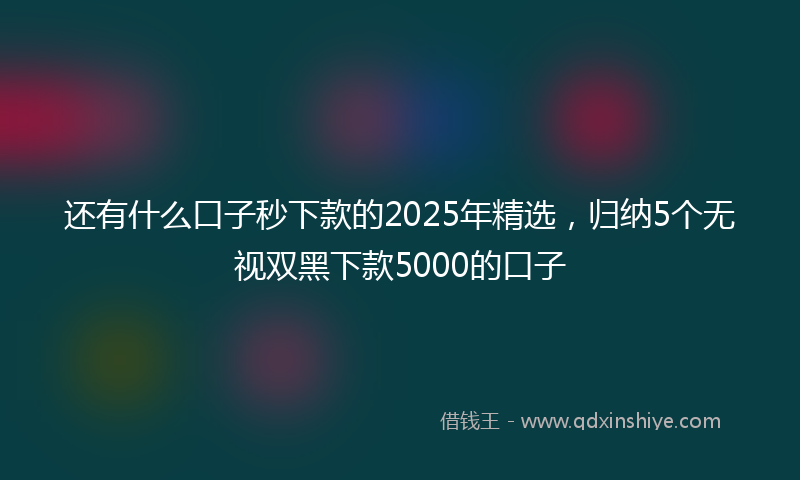 还有什么口子秒下款的2025年精选，归纳5个无视双黑下款5000的口子
