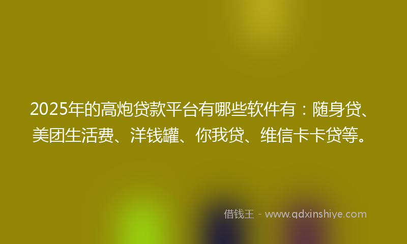 2025年的高炮贷款平台有哪些软件有：随身贷、美团生活费、洋钱罐、你我贷、维信卡卡贷等。
