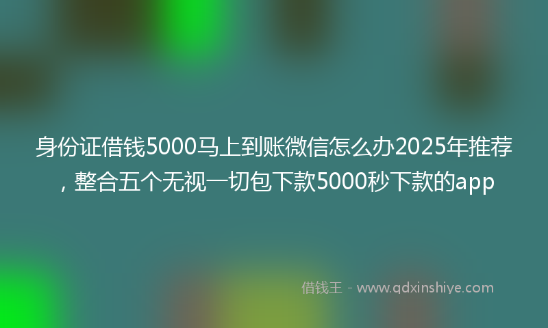 身份证借钱5000马上到账微信怎么办2025年推荐，整合五个无视一切包下款5000秒下款的app