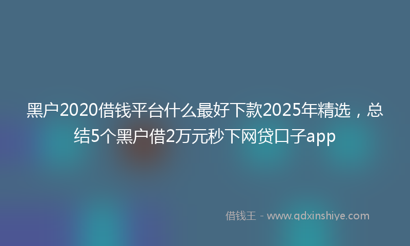 黑户2020借钱平台什么最好下款2025年精选，总结5个黑户借2万元秒下网贷口子app