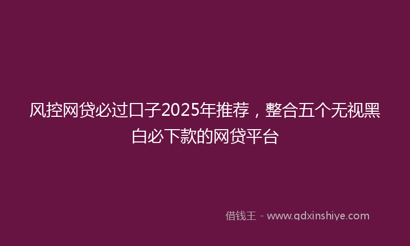 风控网贷必过口子2025年推荐，整合五个无视黑白必下款的网贷平台