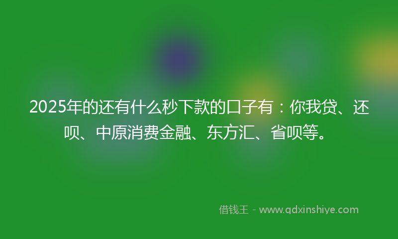 2025年的还有什么秒下款的口子有：你我贷、还呗、中原消费金融、东方汇、省呗等。