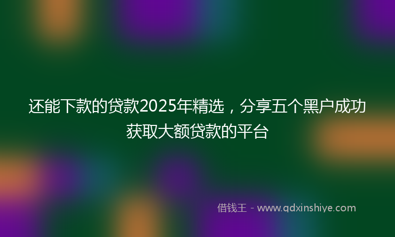 还能下款的贷款2025年精选，分享五个黑户成功获取大额贷款的平台