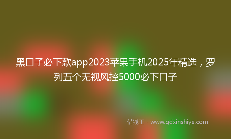 黑口子必下款app2023苹果手机2025年精选，罗列五个无视风控5000必下口子