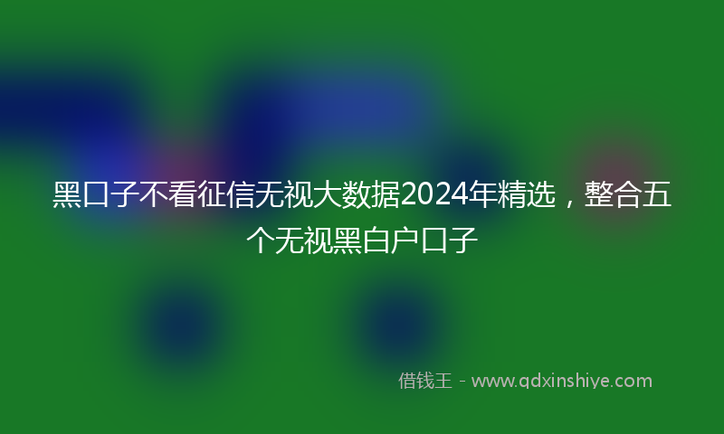 黑口子不看征信无视大数据2024年精选，整合五个无视黑白户口子