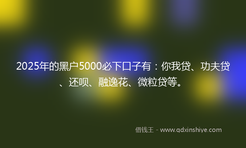 2025年的黑户5000必下口子有：你我贷、功夫贷、还呗、融逸花、微粒贷等。