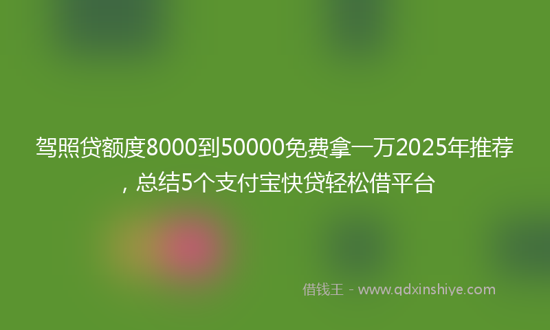 驾照贷额度8000到50000免费拿一万2025年推荐，总结5个支付宝快贷轻松借平台