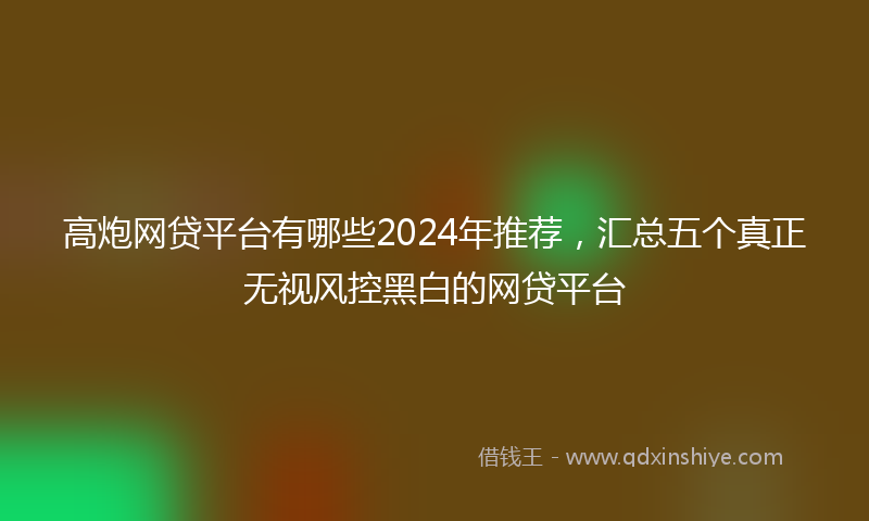 高炮网贷平台有哪些2024年推荐，汇总五个真正无视风控黑白的网贷平台