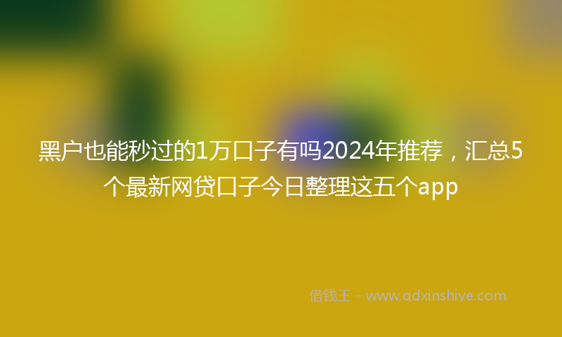 黑户也能秒过的1万口子有吗2024年推荐，汇总5个最新网贷口子今日整理这五个app