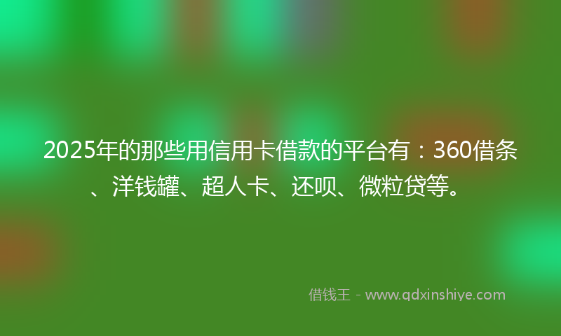 2025年的那些用信用卡借款的平台有：360借条、洋钱罐、超人卡、还呗、微粒贷等。
