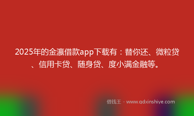 2025年的金瀛借款app下载有：替你还、微粒贷、信用卡贷、随身贷、度小满金融等。