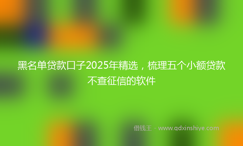 黑名单贷款口子2025年精选，梳理五个小额贷款不查征信的软件