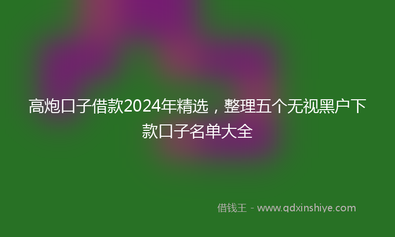 高炮口子借款2024年精选，整理五个无视黑户下款口子名单大全