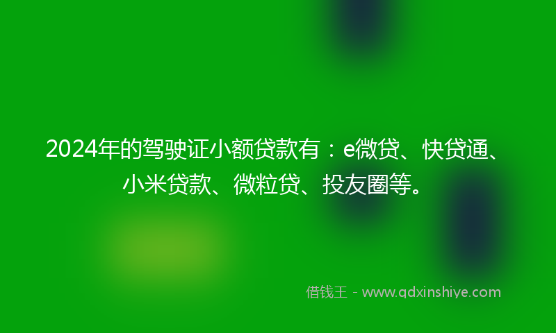 2024年的驾驶证小额贷款有：e微贷、快贷通、小米贷款、微粒贷、投友圈等。
