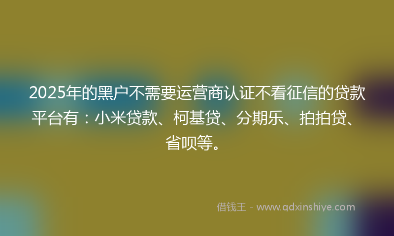 2025年的黑户不需要运营商认证不看征信的贷款平台有：小米贷款、柯基贷、分期乐、拍拍贷、省呗等。