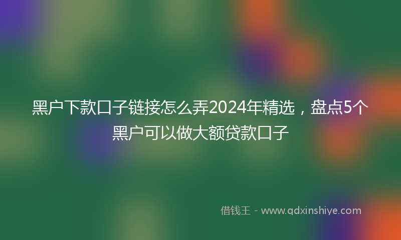 黑户下款口子链接怎么弄2024年精选，盘点5个黑户可以做大额贷款口子