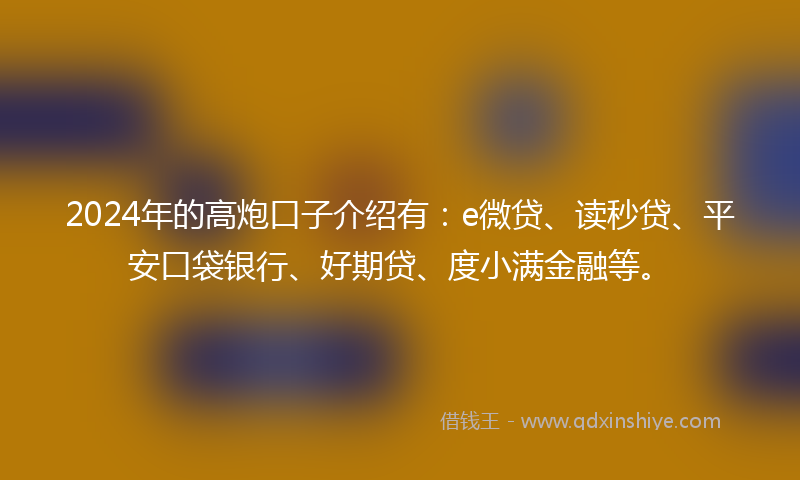 2024年的高炮口子介绍有：e微贷、读秒贷、平安口袋银行、好期贷、度小满金融等。
