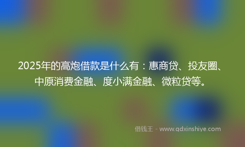 2025年的高炮借款是什么有：惠商贷、投友圈、中原消费金融、度小满金融、微粒贷等。
