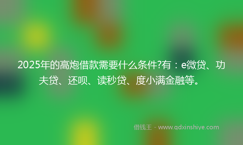 2025年的高炮借款需要什么条件?有：e微贷、功夫贷、还呗、读秒贷、度小满金融等。