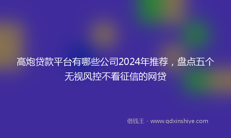 高炮贷款平台有哪些公司2024年推荐，盘点五个无视风控不看征信的网贷