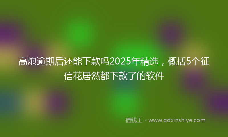 高炮逾期后还能下款吗2025年精选，概括5个征信花居然都下款了的软件