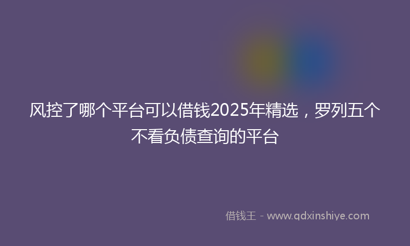 风控了哪个平台可以借钱2025年精选，罗列五个不看负债查询的平台