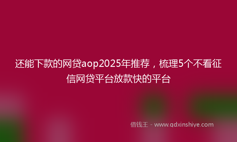 还能下款的网贷aop2025年推荐，梳理5个不看征信网贷平台放款快的平台