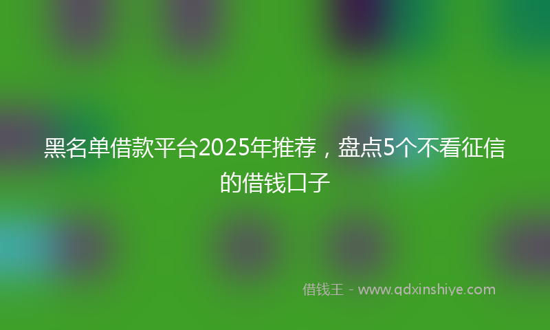 黑名单借款平台2025年推荐，盘点5个不看征信的借钱口子