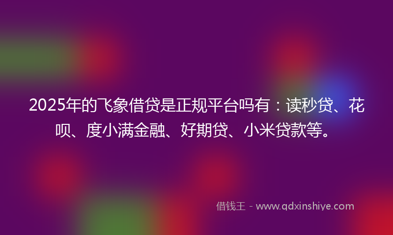 2025年的飞象借贷是正规平台吗有：读秒贷、花呗、度小满金融、好期贷、小米贷款等。
