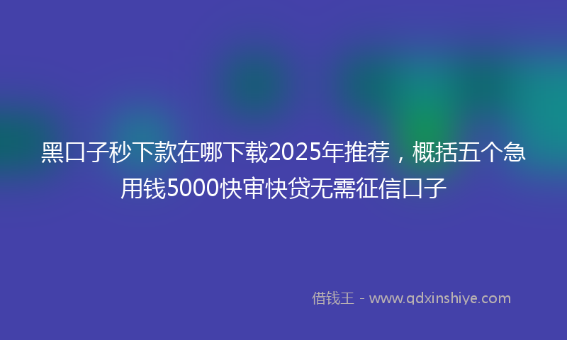 黑口子秒下款在哪下载2025年推荐，概括五个急用钱5000快审快贷无需征信口子