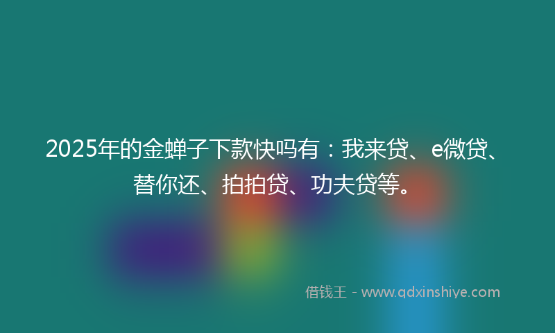 2025年的金蝉子下款快吗有：我来贷、e微贷、替你还、拍拍贷、功夫贷等。
