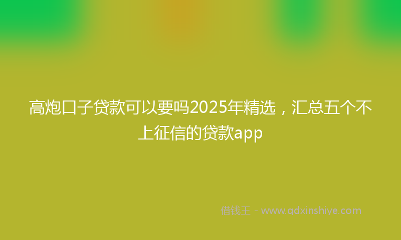 高炮口子贷款可以要吗2025年精选，汇总五个不上征信的贷款app