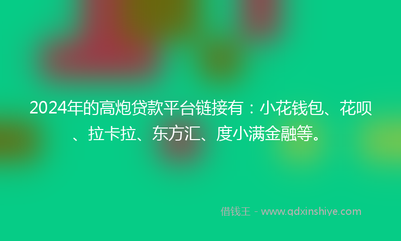 2024年的高炮贷款平台链接有：小花钱包、花呗、拉卡拉、东方汇、度小满金融等。