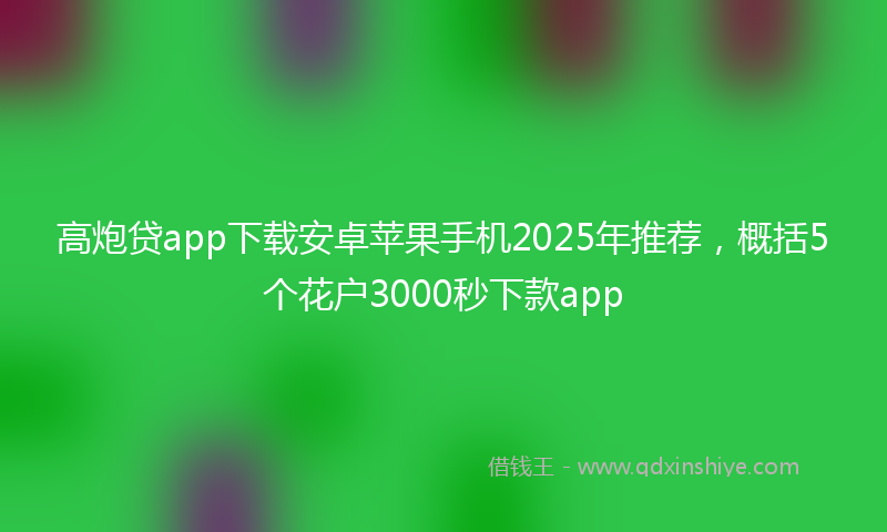 高炮贷app下载安卓苹果手机2025年推荐，概括5个花户3000秒下款app