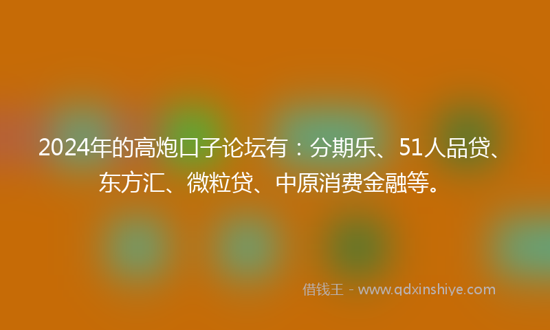 2024年的高炮口子论坛有：分期乐、51人品贷、东方汇、微粒贷、中原消费金融等。
