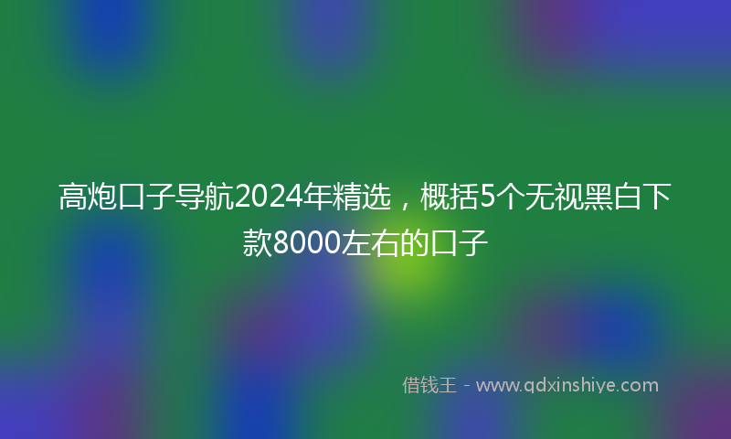 高炮口子导航2024年精选，概括5个无视黑白下款8000左右的口子