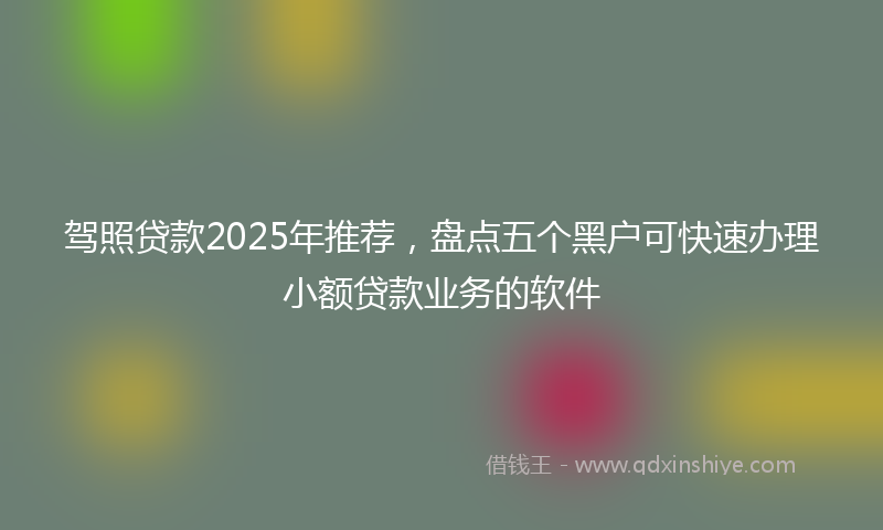 驾照贷款2025年推荐，盘点五个黑户可快速办理小额贷款业务的软件