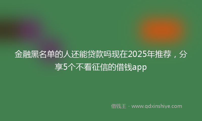 金融黑名单的人还能贷款吗现在2025年推荐，分享5个不看征信的借钱app
