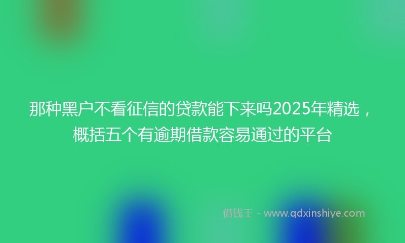 那种黑户不看征信的贷款能下来吗2025年精选，概括五个有逾期借款容易通过的平台