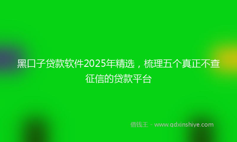 黑口子贷款软件2025年精选，梳理五个真正不查征信的贷款平台