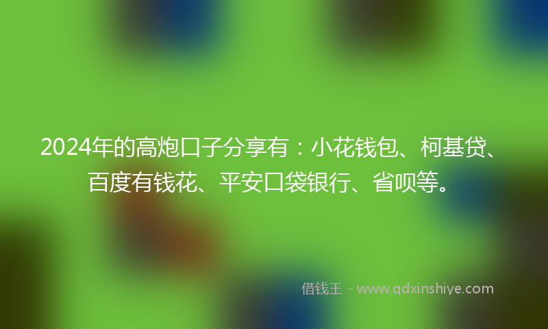 2024年的高炮口子分享有：小花钱包、柯基贷、百度有钱花、平安口袋银行、省呗等。