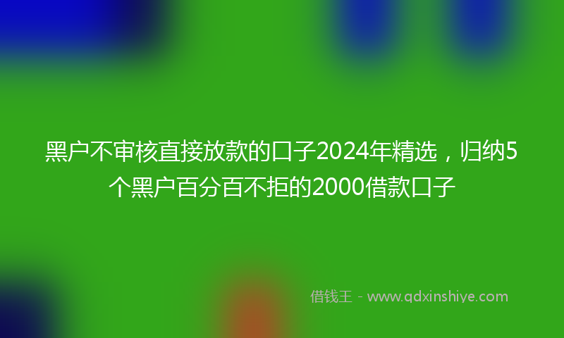 黑户不审核直接放款的口子2024年精选，归纳5个黑户百分百不拒的2000借款口子