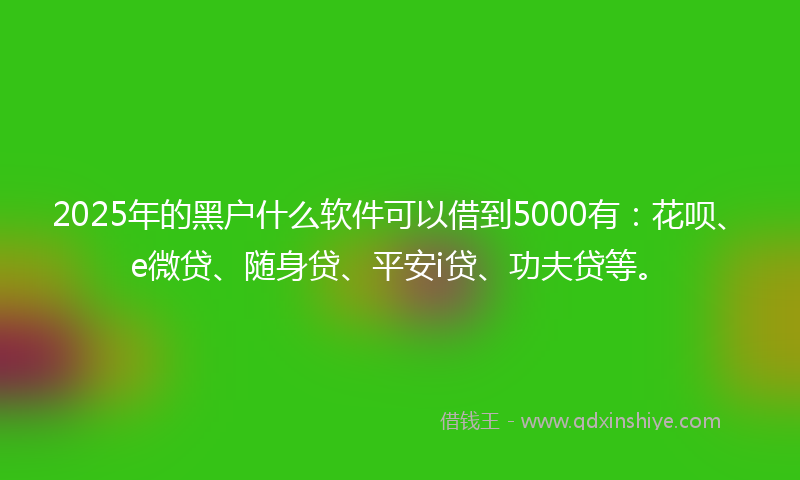 2025年的黑户什么软件可以借到5000有：花呗、e微贷、随身贷、平安i贷、功夫贷等。