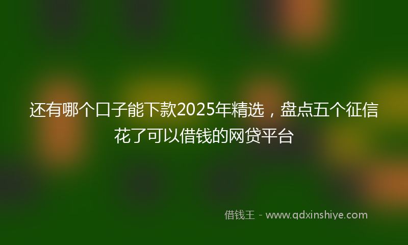 还有哪个口子能下款2025年精选，盘点五个征信花了可以借钱的网贷平台